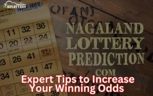 nagaland lottery prediction com