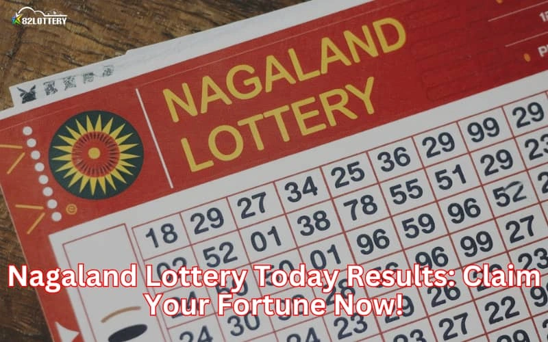 nagaland lottery today